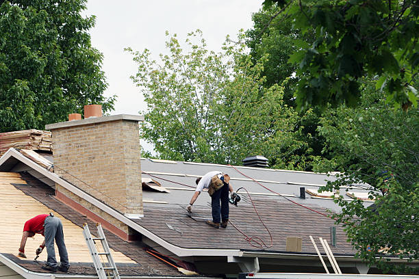 Best Roof Maintenance Services  in Wlow Springs, IL